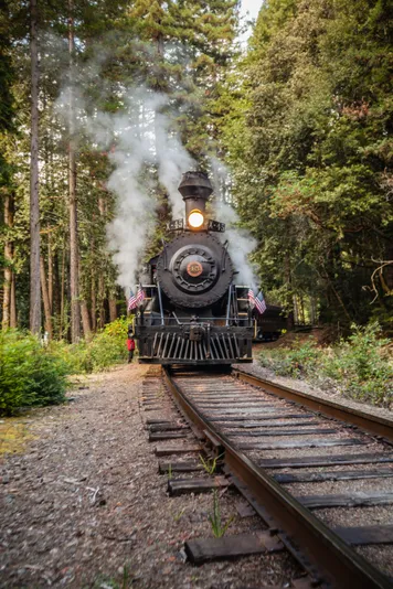VIP Pudding Creek Express Train Ride With Picnic Lunch