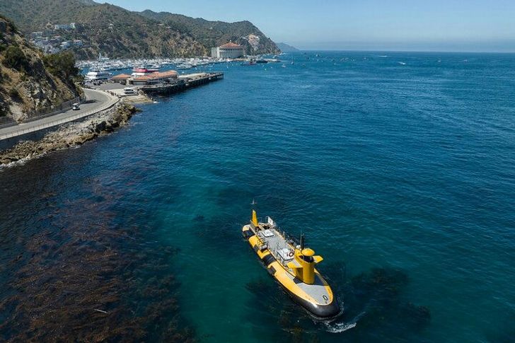 Yellow Submarine Tour of Catalina Island - Image 4