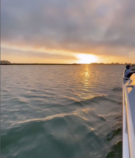 BYOB Elkhorn Slough Electric Catamaran Eco Tour - Image 5