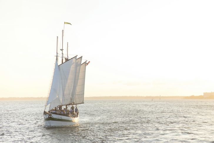 Daytime Dolphin Sail in Charleston