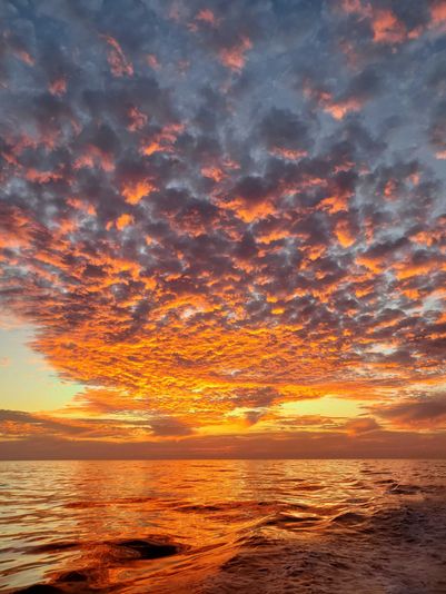 San Diego Sunset Cruise - Image 7