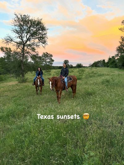 Sunset Horseback Trail Ride in Austin - Image 6