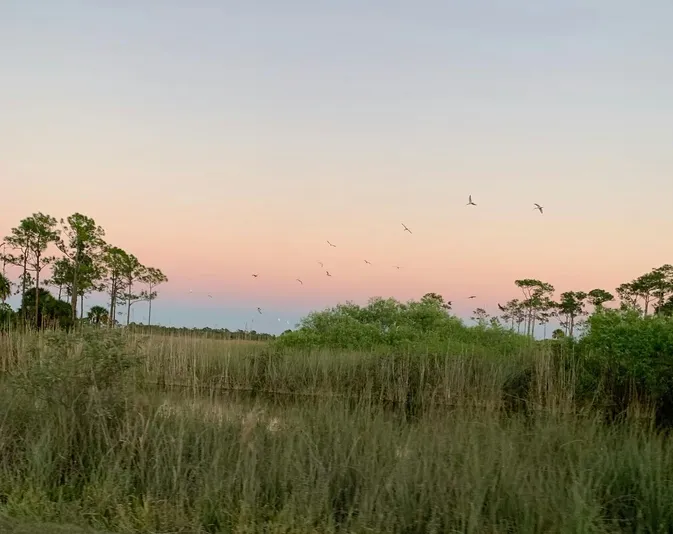 Dark Sky Jeep Tour