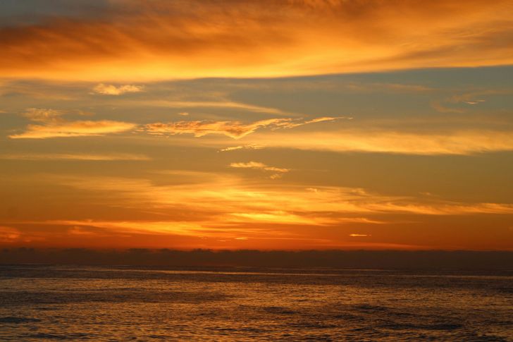 San Diego Sunset Cruise - Image 8
