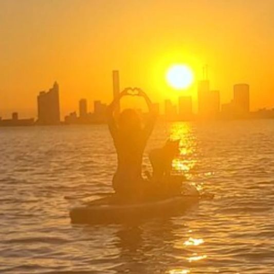 Paws & Paddle Board Rental on Biscayne Bay - Image 3