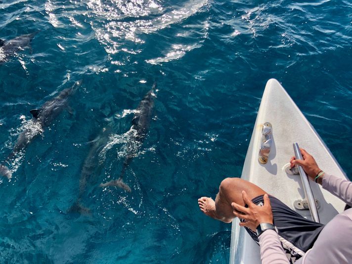 Go City Oahu All-Inclusive Pass - 2 Days - Image 6