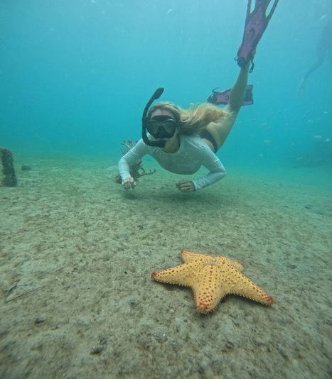 Private Peanut Island Boat & Snorkel Tour - Image 2