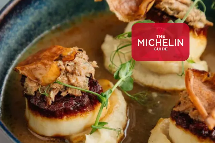 Michelin Guide Dining Experience in Tampa
