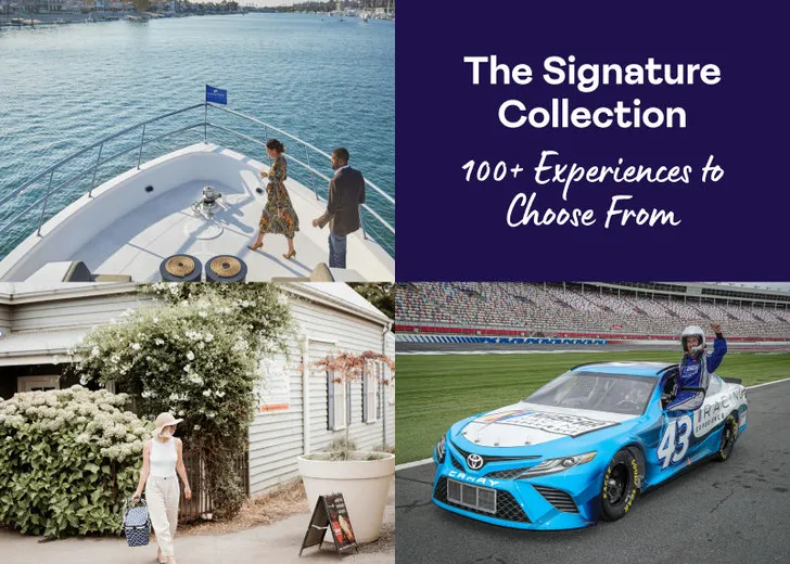 The Signature Business Collection