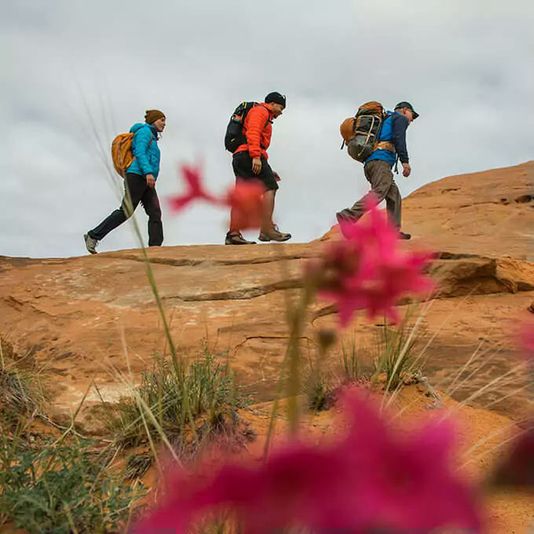 Canyon Hiking in Utah - Half Day - Image 2