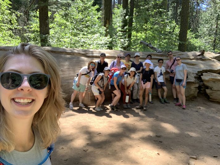 Yosemite & Giant Sequoias Day Tour from San Francisco - Image 5