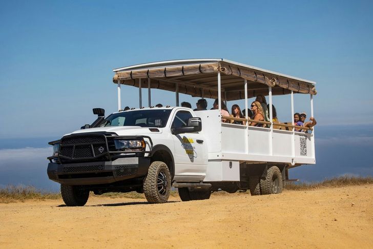 Catalina Eco-Land Adventure Safari Tram Tour - Image 4