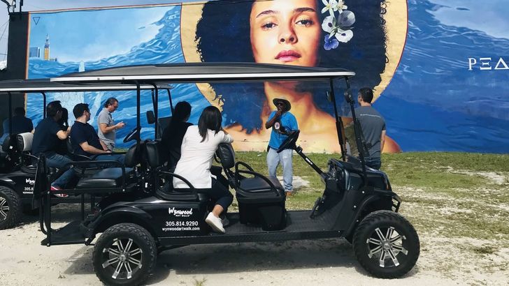 Wynwood Graffiti & Brewery Golf Cart Tour - Image 2
