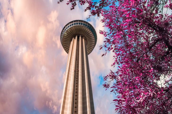 Tower of the Americas Experience - Image 5