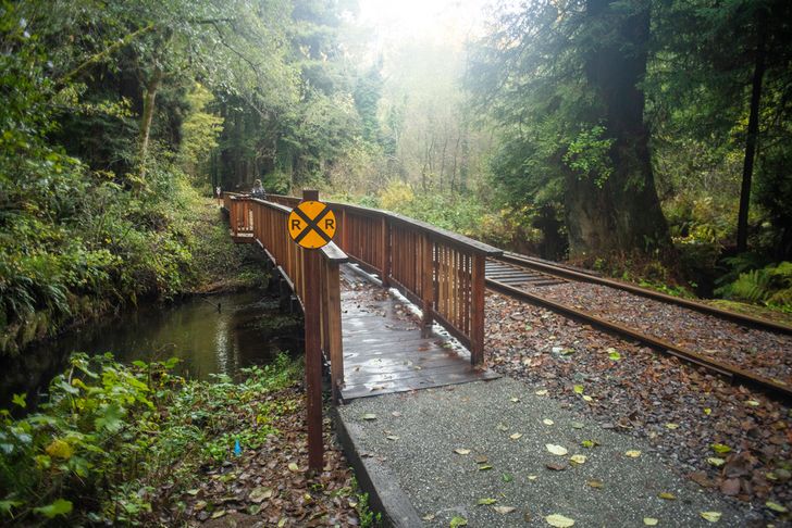Redwood Hiking Tour & Train Ride with Picnic Lunch - Image 6