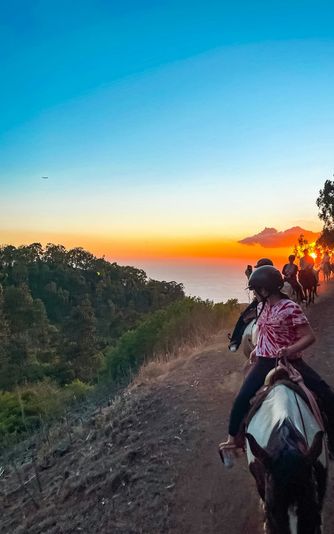 Oahu Sunset Horseback Riding Adventure - Image 3