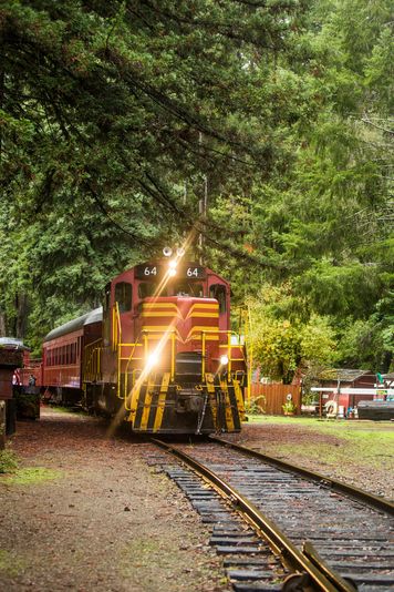 Historic Wolf Tree Turn Train Ride - Image 2