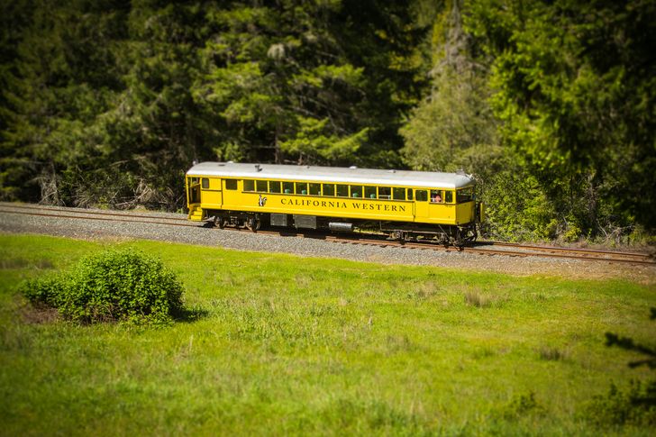 VIP Historic Wolf Tree Turn Train Ride - Image 3