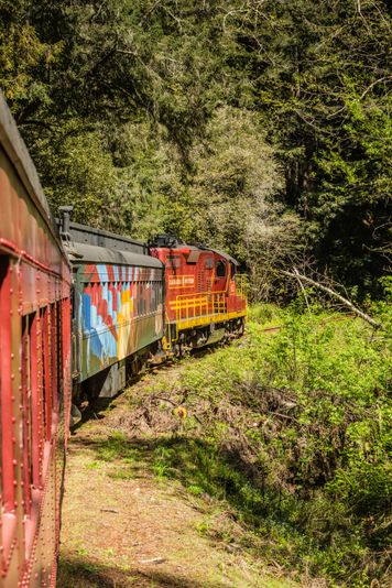 Pudding Creek Express Train Ride - Image 5