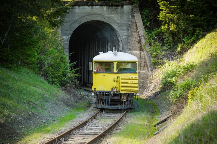 VIP Historic Wolf Tree Turn Train Ride - Image 4