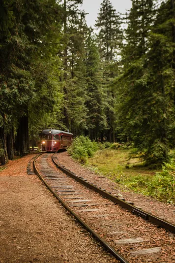 VIP Historic Wolf Tree Turn Train Ride