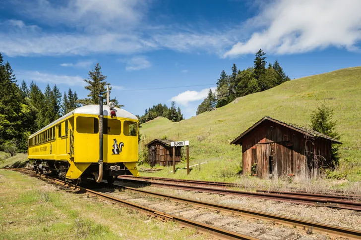 Historic Wolf Tree Turn Train Ride