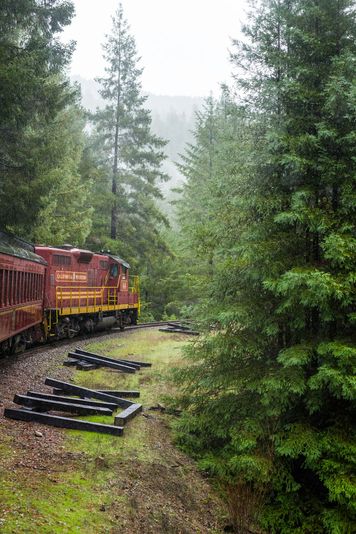 VIP Pudding Creek Express Train Ride With Picnic Lunch - Image 3