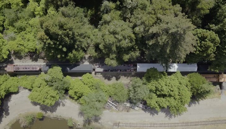 Historic Felton to Santa Cruz Beach Boardwalk Train Ride - Image 4