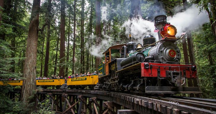 Redwood Forest Steam Train Ride