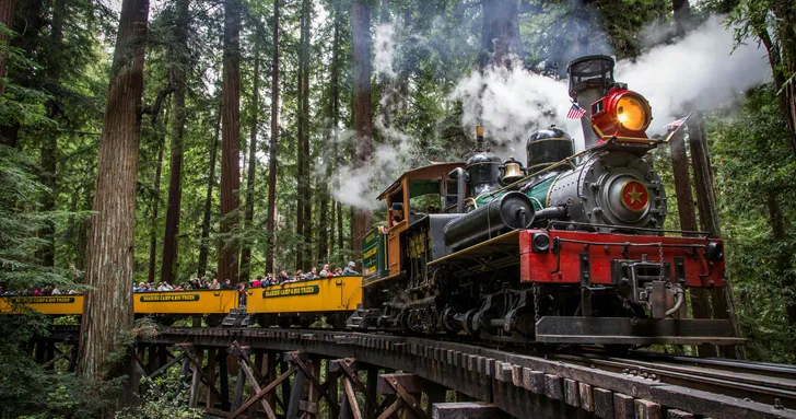 Redwood Forest Steam Train Ride