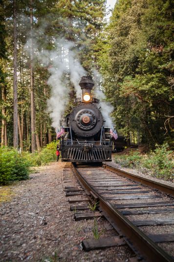 Moonlight Train Ride to Glen Blair Bar - Image 1