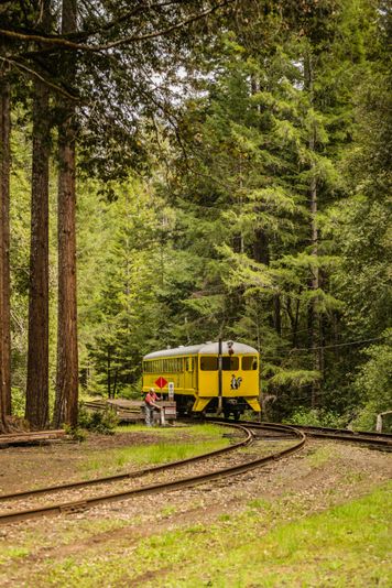VIP Historic Wolf Tree Turn Train Ride - Image 2