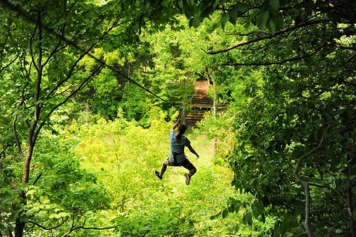 Chicago Zipline & Treetop Adventure with Go Ape - Image 4