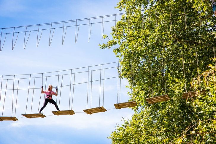 Chicago Zipline & Treetop Adventure with Go Ape - Image 5
