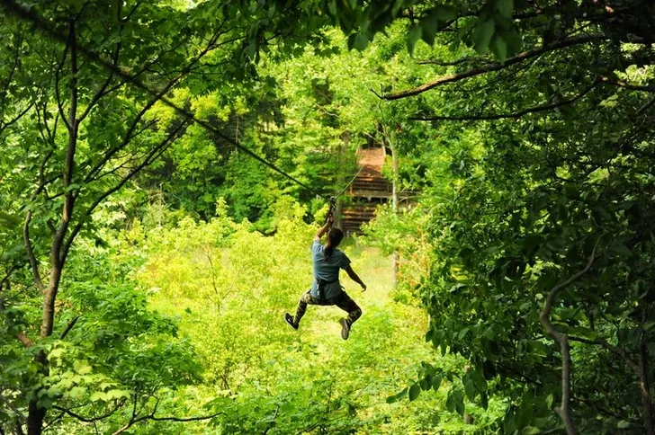 St. Louis Zipline and Treetop Adventure with Go Ape