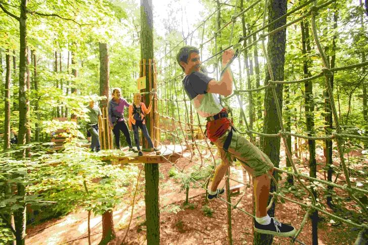 Springfield Kids Treetop Journey with Go Ape