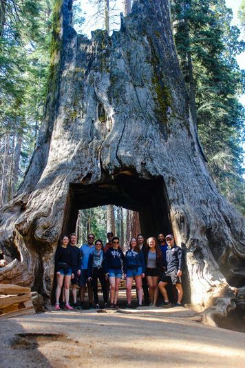 2-Day Guided Yosemite Tour with Curry Village Tent Cabin Stay - Image 4