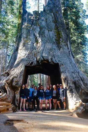 2-Day Yosemite Tour with Yosemite Valley Lodge Stay