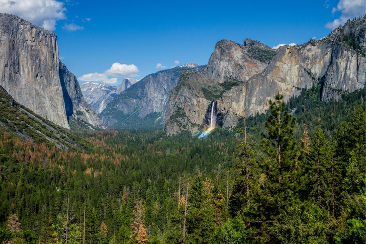 Yosemite & Giant Sequoias Day Tour from San Francisco - Image 6