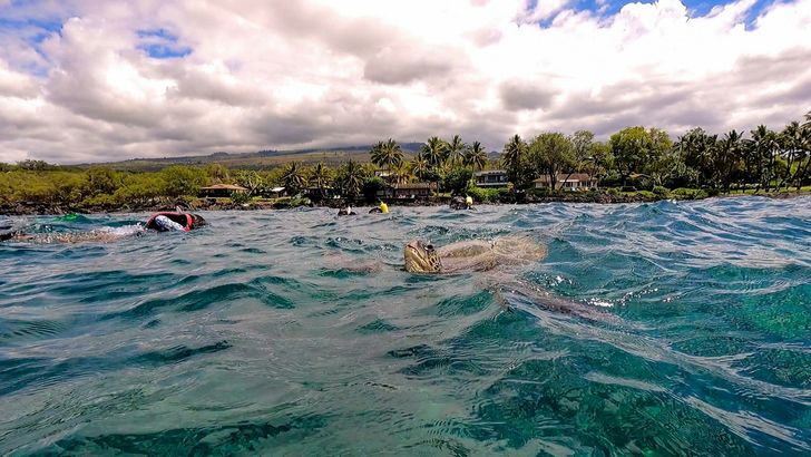 South Maui Turtle Reef Kayak & Snorkeling Discovery - Image 3