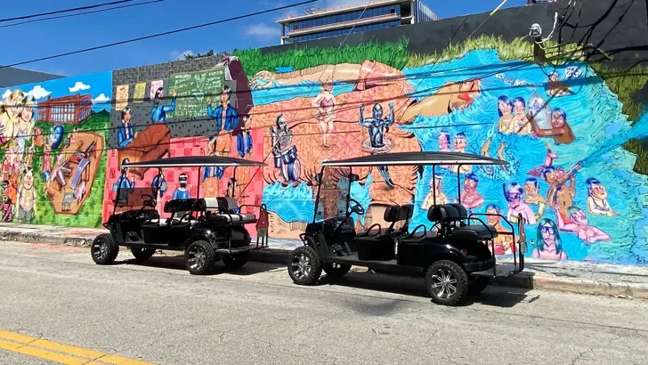 Wynwood Graffiti & Brewery Golf Cart Tour