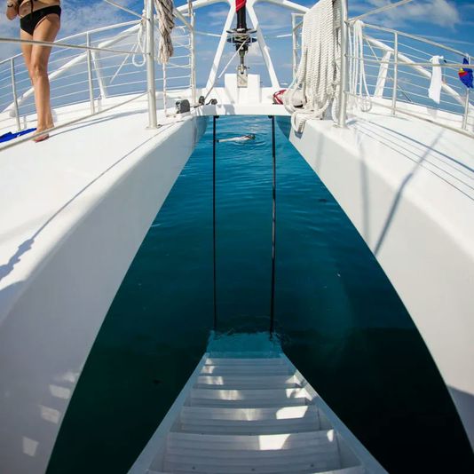 Two Reef Snorkel Tour with Sunset Cruise, Beer, Champagne & Wine - Image 3