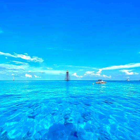 Two Reef Snorkel Tour with Sunset Cruise, Beer, Champagne & Wine - Image 4