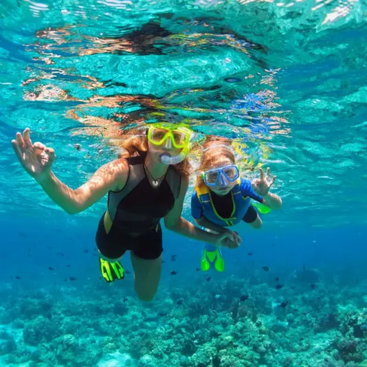 Two Reef Snorkel Tour with Sunset Cruise, Beer, Champagne & Wine