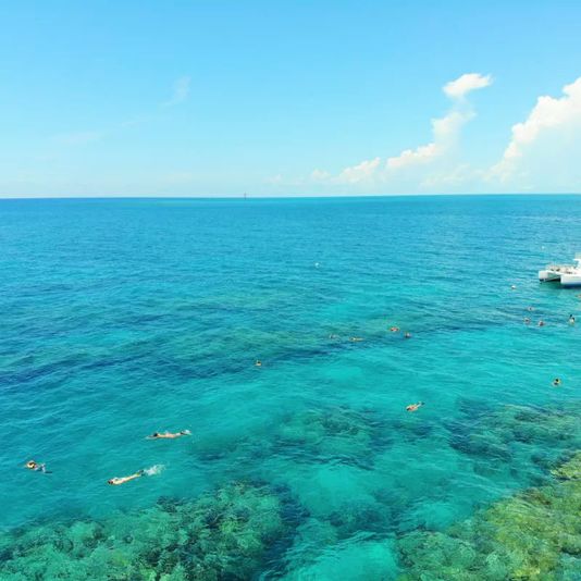 Two Reef Snorkel Tour with Sunset Cruise, Beer, Champagne & Wine - Image 6