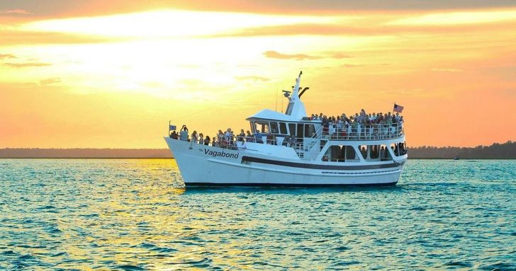 Sunset Dolphin Cruise in Hilton Head