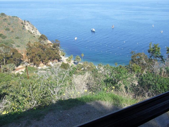 Catalina Eco-Land Adventure Safari Tram Tour - Image 5