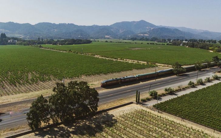 Romantic Napa Valley Wine Train Lunch on Weekends - Image 4