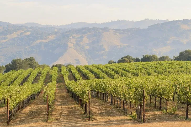 Russian River Weekend Wine Tasting and 5-Course Wine-Paired Lunch