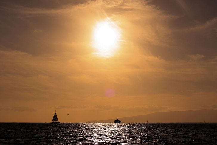 Waikiki Sunset + Whale Watching - Image 5